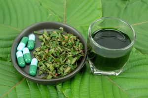 Most Potent Kratom Energy Strains for Enhanced Performance